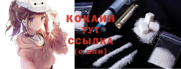 СК Арсеньев