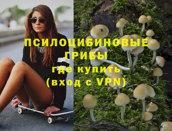 метадон Армянск