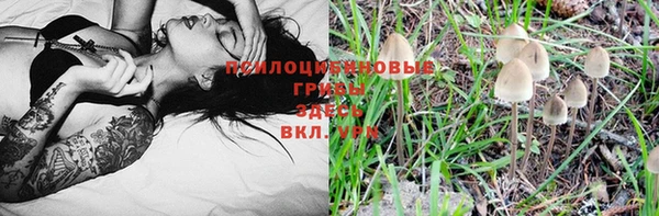 а пвп мука Аркадак
